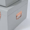 2-Piece Storage Trunks, Robust Steel, Modern Design, Grey DL Modern