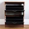 Contemporary Stylish Shoe Cabinet in MDF With 2 Compartments, Walnut/Black DL Contemporary