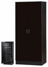 Contemporary Wardrobe, High Gloss MDF With 2-Door, Shelf and Hanging Rail, Black DL Contemporary