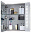 Modern Bathroom Mirror Cabinet With LED Lights and 2-Internal Shelf, Rowan DL Modern