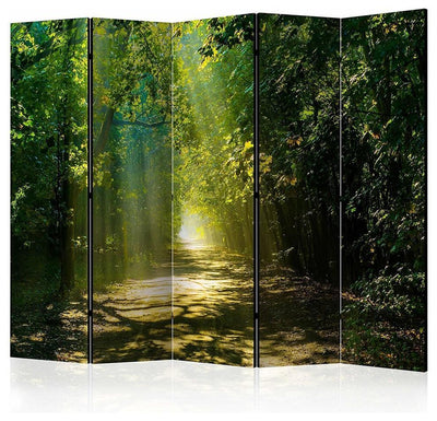 Modern Stylish Room Divider in Solid Wood, Full HD Double Sided Printed Design DL Modern