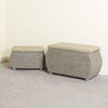 Storage Trunks, Wicker With Wooden Legs and Faux Leather Cushions, 2-Piece Set DL Modern
