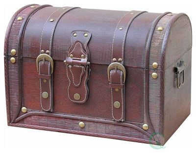 Traditional Storage Chest in Brown Finished Wood and Leather, Antique Design DL Traditional